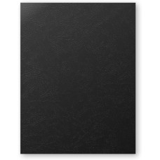 BINDING COVER FROSTED A4 ASSORTED 1s