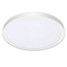 CEILING FITTING LED 24W