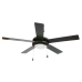 BRIGHTSTAR F/C WITH LIGHT 5 BLADE BLACK