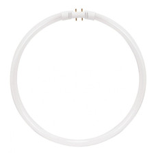 CIRCLINE TUBE 40W