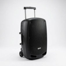 HYBRID CABINET SPEAKER 150W 15