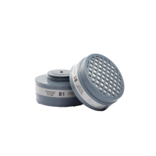 B1 CARTRIDGE (FUMES & MIST) 2'S